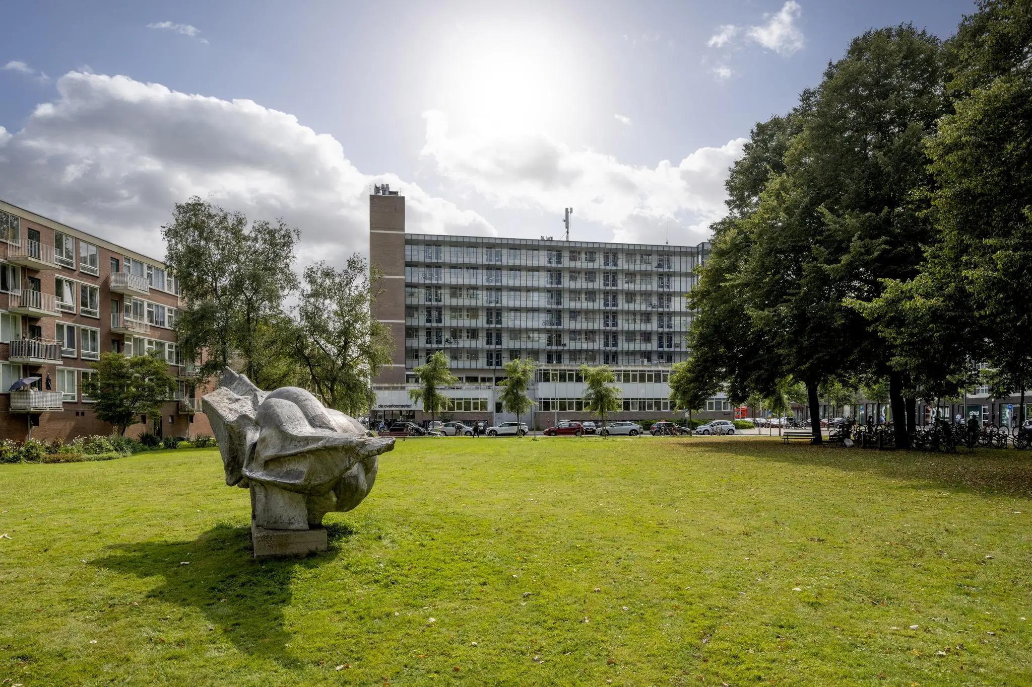 Beeld van een grasveld aan de Jan Tooropstraat met een abstract beeldhouwwerk op de voorgrond en flatgebouwen op de achtergrond.